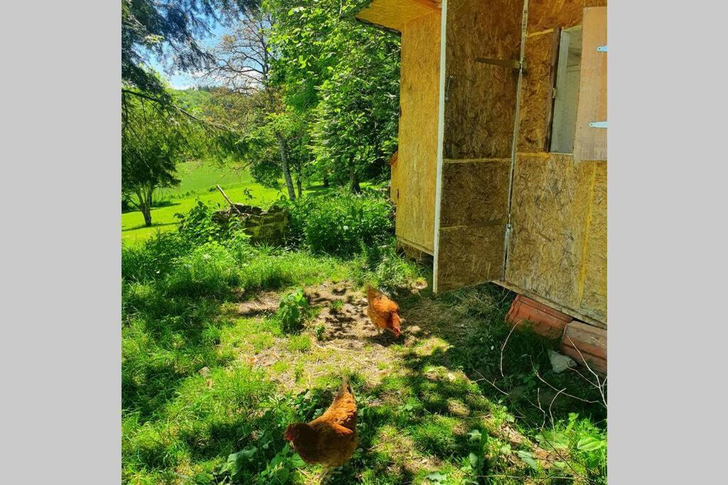 Gite Les Hauts De Villemaloux Dontreix Exterior foto